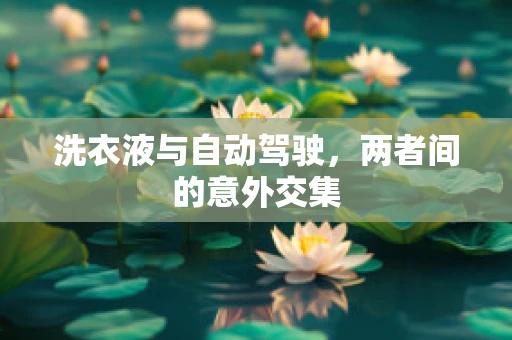 洗衣液与自动驾驶，两者间的意外交集