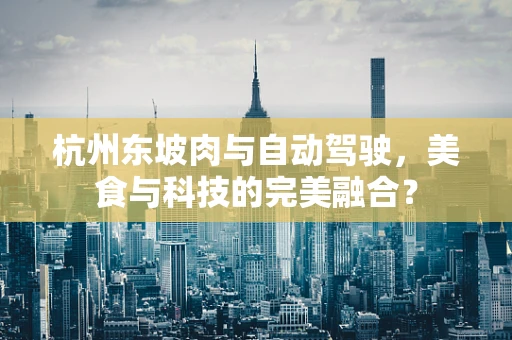 杭州东坡肉与自动驾驶，美食与科技的完美融合？