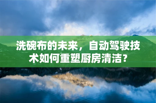 洗碗布的未来，自动驾驶技术如何重塑厨房清洁？