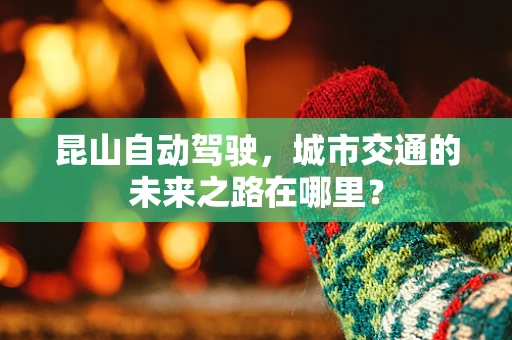 昆山自动驾驶，城市交通的未来之路在哪里？