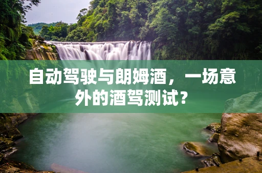自动驾驶与朗姆酒，一场意外的酒驾测试？