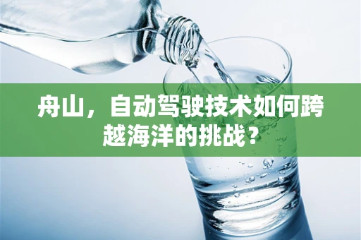 舟山，自动驾驶技术如何跨越海洋的挑战？