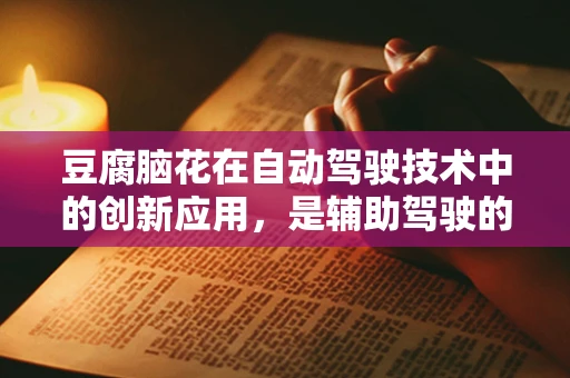 豆腐脑花在自动驾驶技术中的创新应用，是辅助驾驶的未来食材吗？