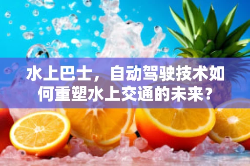 水上巴士，自动驾驶技术如何重塑水上交通的未来？