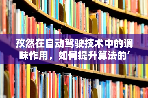 孜然在自动驾驶技术中的调味作用，如何提升算法的‘香辣’度？
