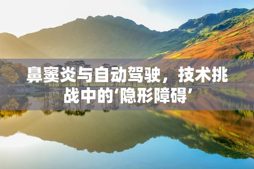 鼻窦炎与自动驾驶，技术挑战中的‘隐形障碍’