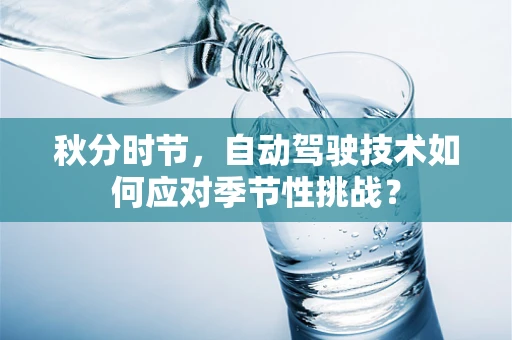 秋分时节，自动驾驶技术如何应对季节性挑战？