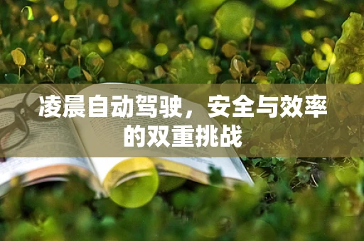 凌晨自动驾驶，安全与效率的双重挑战