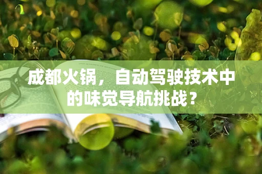 成都火锅，自动驾驶技术中的味觉导航挑战？