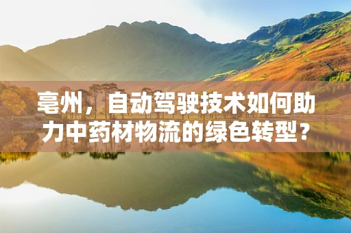 亳州，自动驾驶技术如何助力中药材物流的绿色转型？