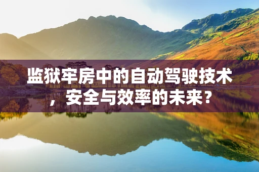 监狱牢房中的自动驾驶技术，安全与效率的未来？