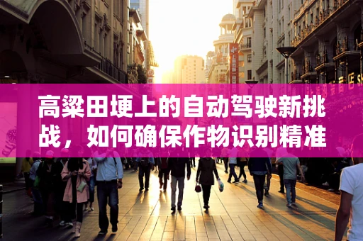 高粱田埂上的自动驾驶新挑战，如何确保作物识别精准无误？