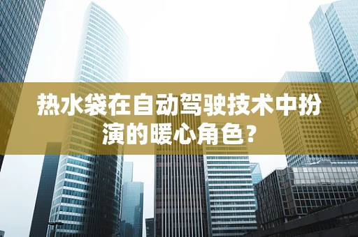 热水袋在自动驾驶技术中扮演的暖心角色？