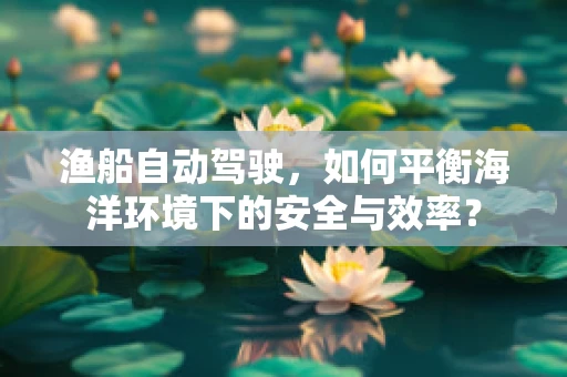 渔船自动驾驶，如何平衡海洋环境下的安全与效率？
