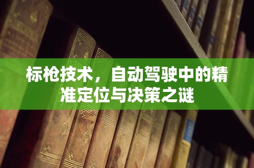 标枪技术，自动驾驶中的精准定位与决策之谜