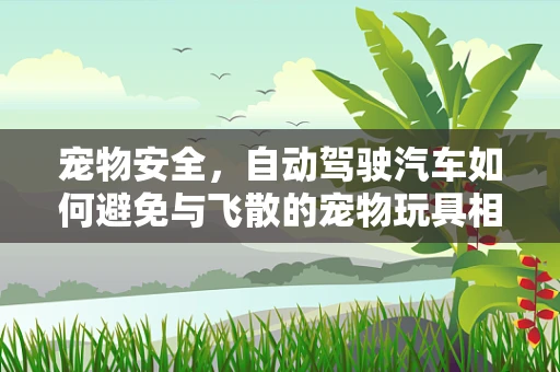 宠物安全，自动驾驶汽车如何避免与飞散的宠物玩具相撞？