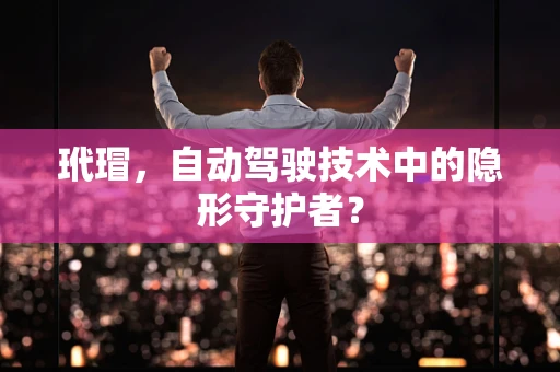 玳瑁，自动驾驶技术中的隐形守护者？