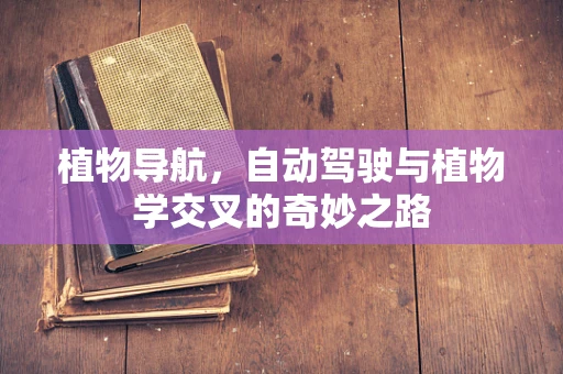 植物导航，自动驾驶与植物学交叉的奇妙之路