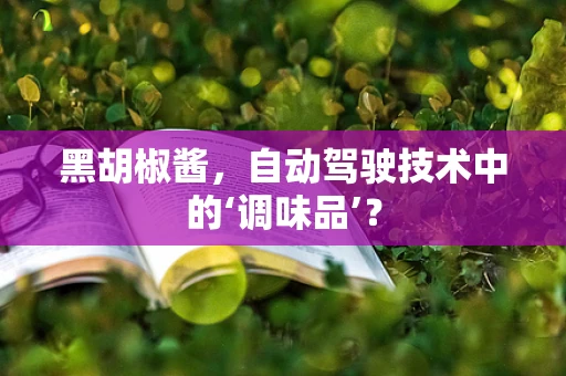 黑胡椒酱，自动驾驶技术中的‘调味品’？