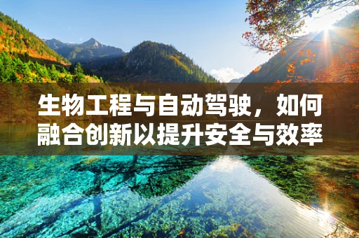生物工程与自动驾驶，如何融合创新以提升安全与效率？