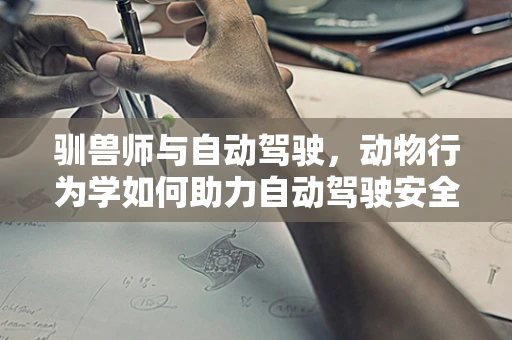 驯兽师与自动驾驶，动物行为学如何助力自动驾驶安全决策？
