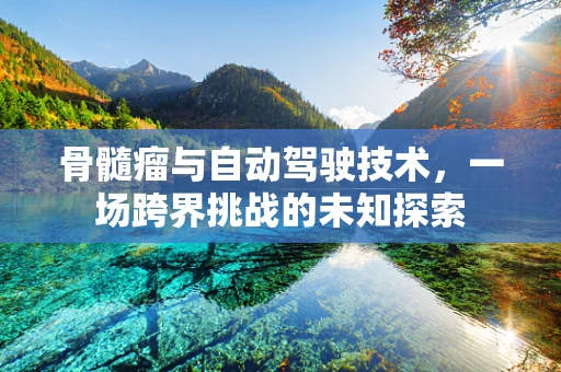 骨髓瘤与自动驾驶技术，一场跨界挑战的未知探索