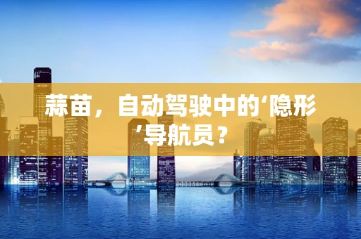 蒜苗，自动驾驶中的‘隐形’导航员？