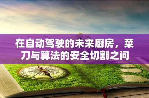 在自动驾驶的未来厨房，菜刀与算法的安全切割之问