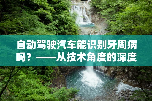 自动驾驶汽车能识别牙周病吗？——从技术角度的深度剖析