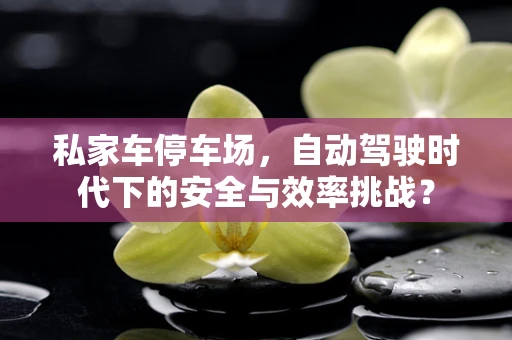 私家车停车场，自动驾驶时代下的安全与效率挑战？