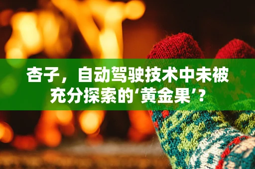 杏子，自动驾驶技术中未被充分探索的‘黄金果’？