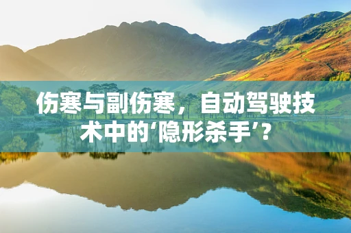 伤寒与副伤寒，自动驾驶技术中的‘隐形杀手’？