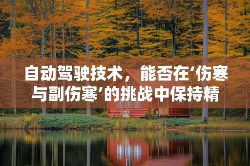 自动驾驶技术，能否在‘伤寒与副伤寒’的挑战中保持精准导航？