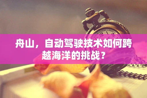 舟山，自动驾驶技术如何跨越海洋的挑战？