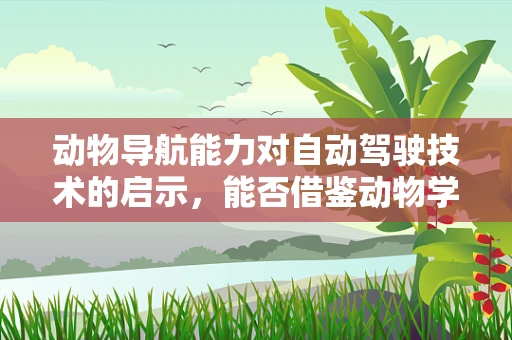 动物导航能力对自动驾驶技术的启示，能否借鉴动物学原理提升自动驾驶精度？