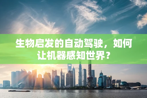 生物启发的自动驾驶，如何让机器感知世界？