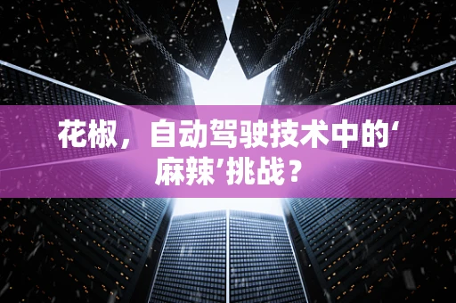 花椒，自动驾驶技术中的‘麻辣’挑战？