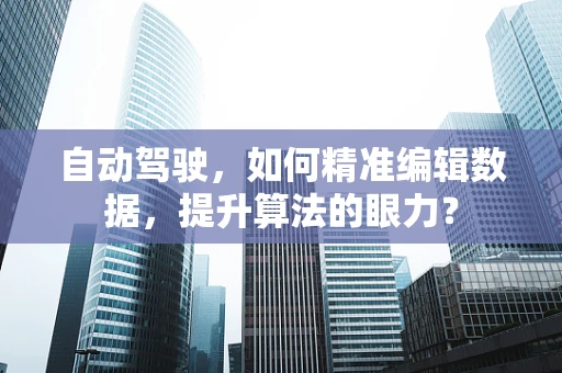 自动驾驶，如何精准编辑数据，提升算法的眼力？