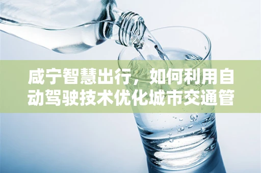 咸宁智慧出行，如何利用自动驾驶技术优化城市交通管理？