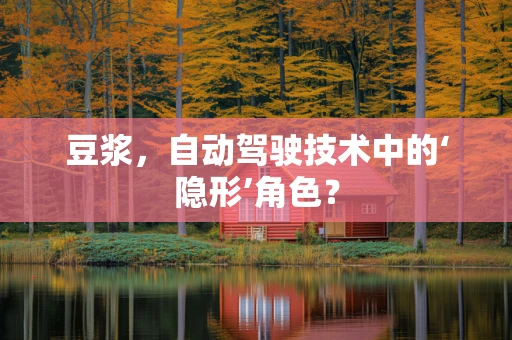 豆浆，自动驾驶技术中的‘隐形’角色？