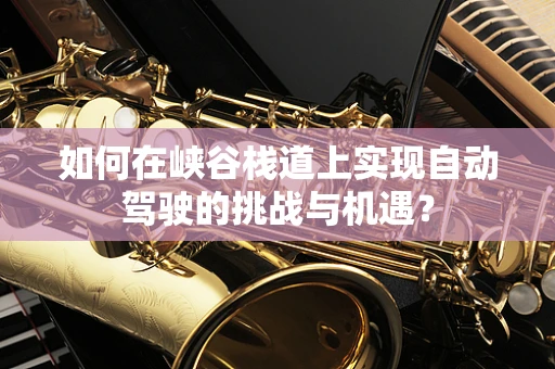 如何在峡谷栈道上实现自动驾驶的挑战与机遇？