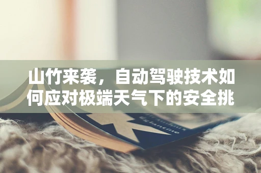 山竹来袭，自动驾驶技术如何应对极端天气下的安全挑战？