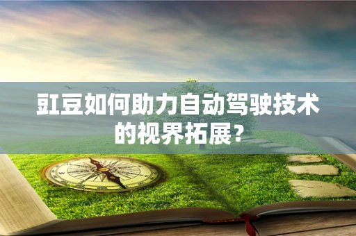 豇豆如何助力自动驾驶技术的视界拓展？