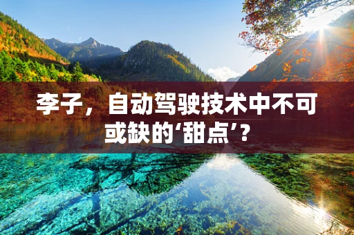 李子，自动驾驶技术中不可或缺的‘甜点’？
