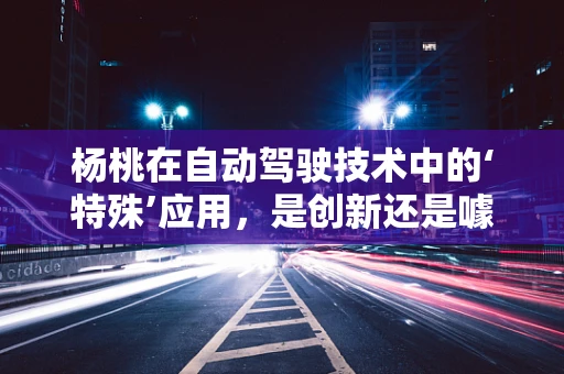 杨桃在自动驾驶技术中的‘特殊’应用，是创新还是噱头？