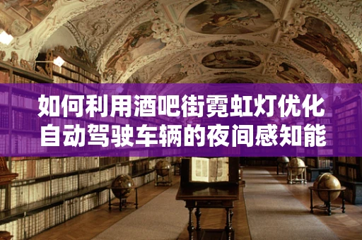 如何利用酒吧街霓虹灯优化自动驾驶车辆的夜间感知能力？