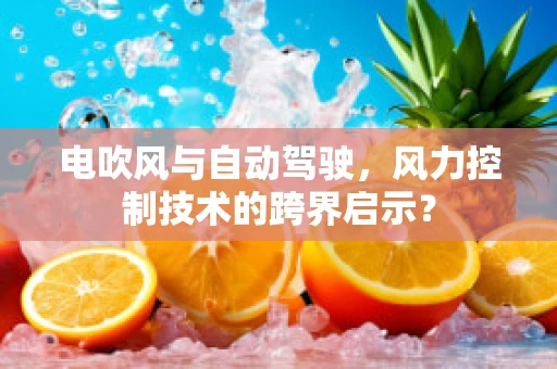 电吹风与自动驾驶，风力控制技术的跨界启示？