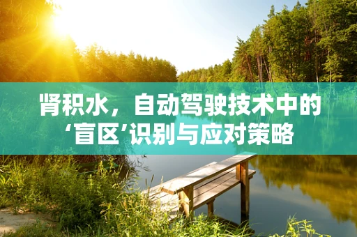 肾积水，自动驾驶技术中的‘盲区’识别与应对策略