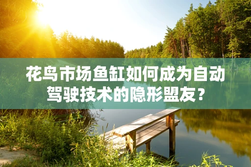花鸟市场鱼缸如何成为自动驾驶技术的隐形盟友？