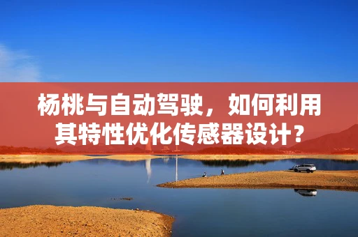 杨桃与自动驾驶，如何利用其特性优化传感器设计？